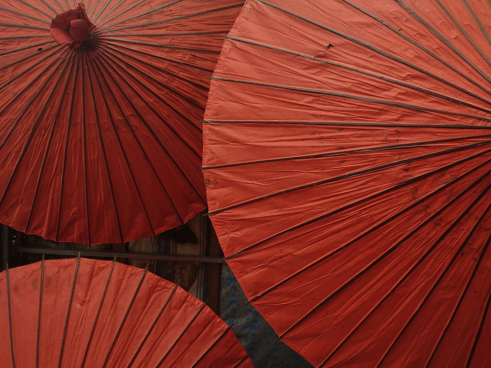 What Disability Income Insurance Covers That CareShield Life Does Not